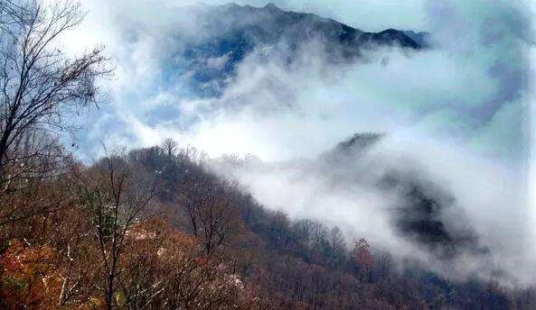 只在此山中，云深不知处。