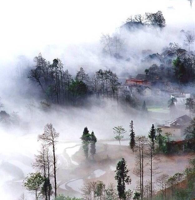 松下问童子，言师采药去。 只在此山中，云深不知处。