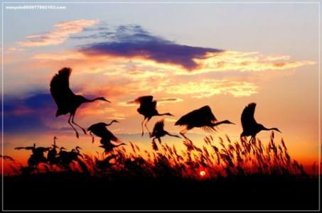 黄鹤一去不复返，白云千载空悠悠。