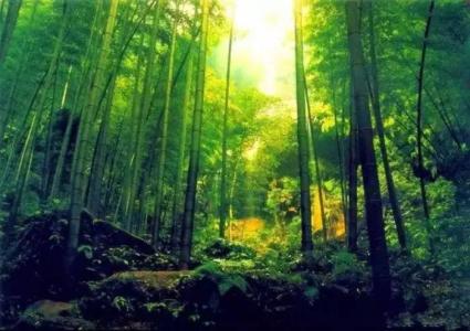 竹怜新雨后，山爱夕阳时。