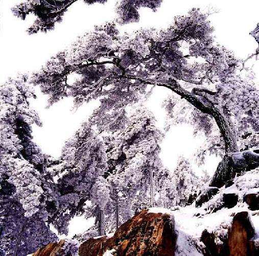 终南阴岭秀，积雪浮云端。林表明霁色，城中增暮寒。