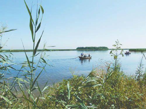 孙犁的《采蒲台的苇》