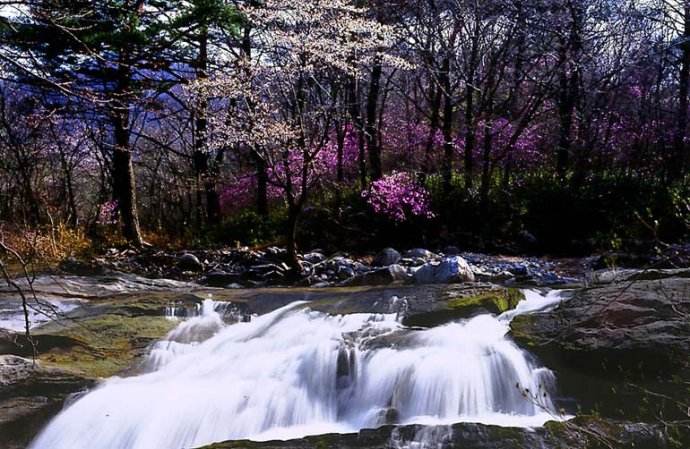 隐隐飞桥隔野烟，石矶西畔向渔船。桃花尽日随流水，洞在清溪何处边？