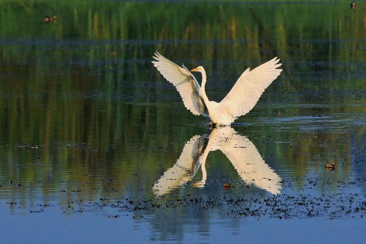 三山半落青天外 二水中分白鹭洲 
